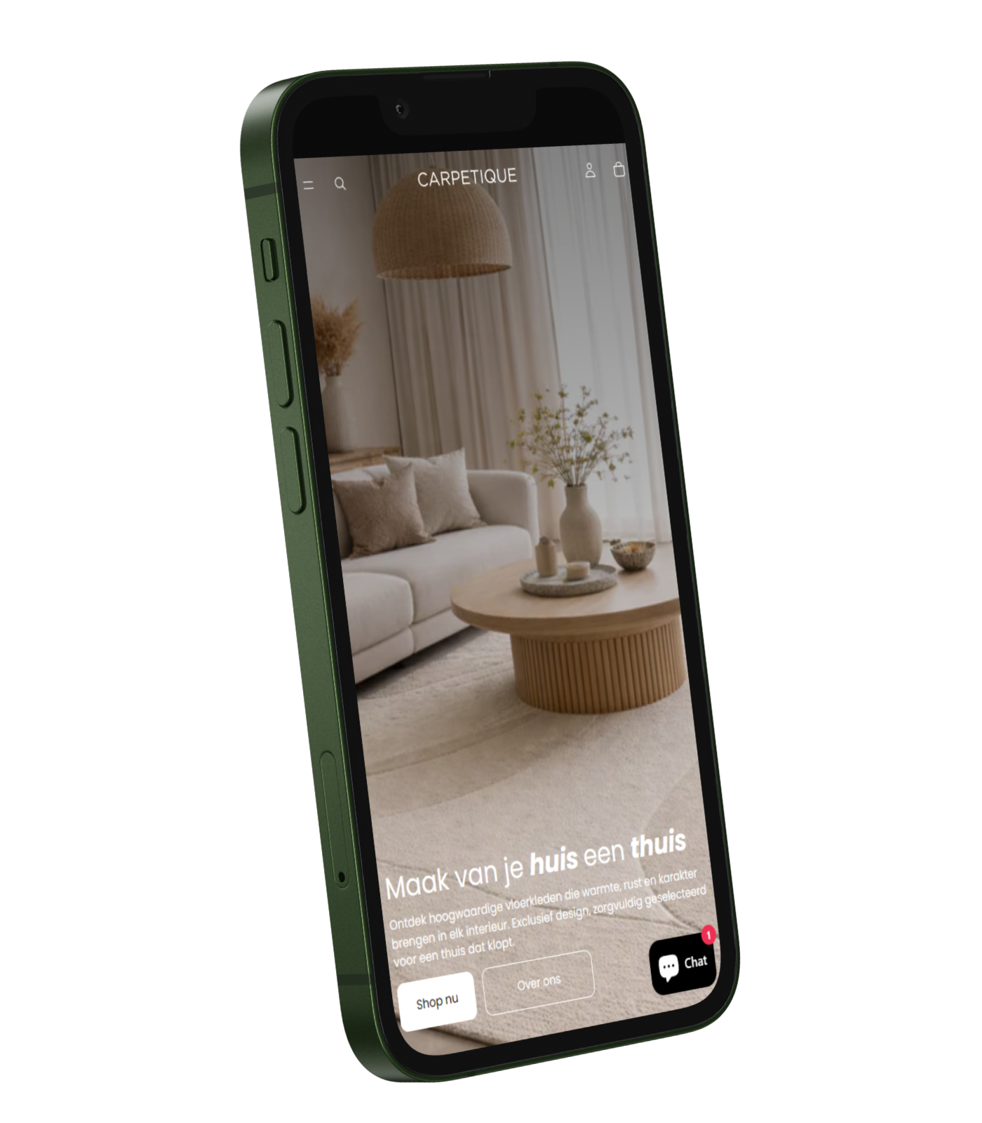 Shopify store example